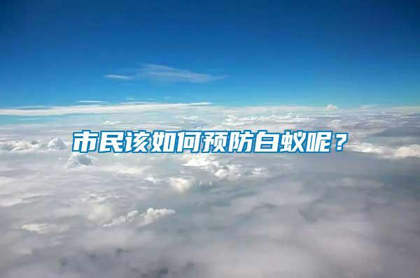 市民該如何預(yù)防白蟻呢？