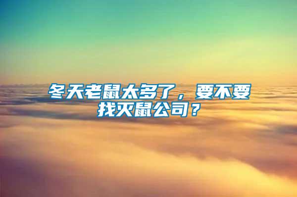 冬天老鼠太多了，要不要找滅鼠公司？