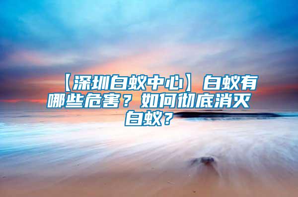 【深圳白蟻中心】白蟻有哪些危害？如何徹底消滅白蟻？