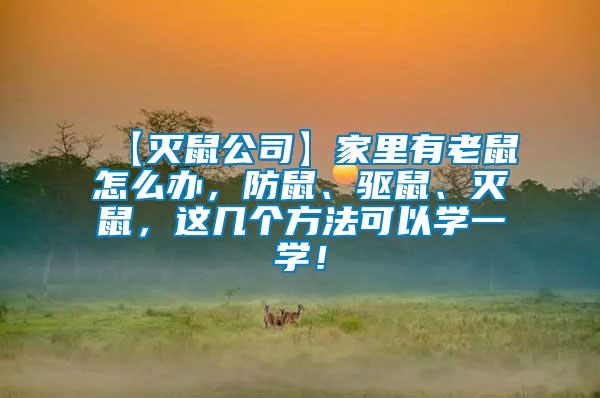 【滅鼠公司】家里有老鼠怎么辦，防鼠、驅(qū)鼠、滅鼠，這幾個方法可以學(xué)一學(xué)！