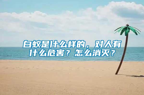 白蟻是什么樣的，對人有什么危害？怎么消滅？