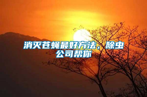 消滅蒼蠅最好方法，除蟲公司幫你