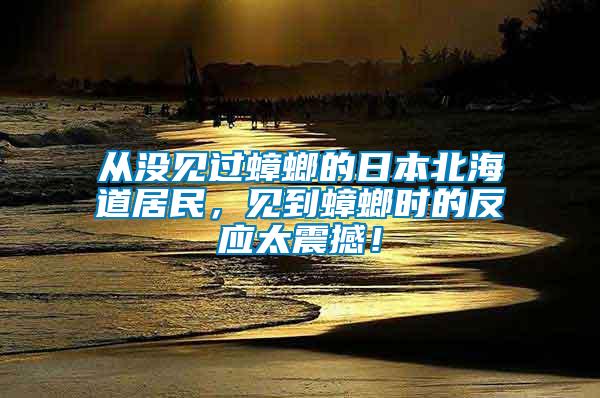 從沒見過蟑螂的日本北海道居民，見到蟑螂時(shí)的反應(yīng)太震撼！