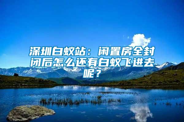 深圳白蟻站：閑置房全封閉后怎么還有白蟻飛進(jìn)去呢？