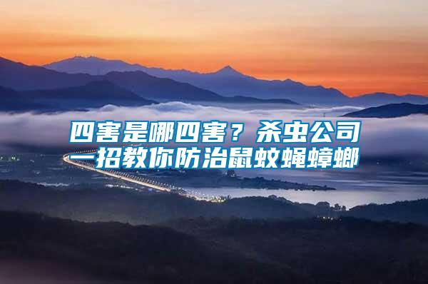 四害是哪四害？殺蟲公司一招教你防治鼠蚊蠅蟑螂