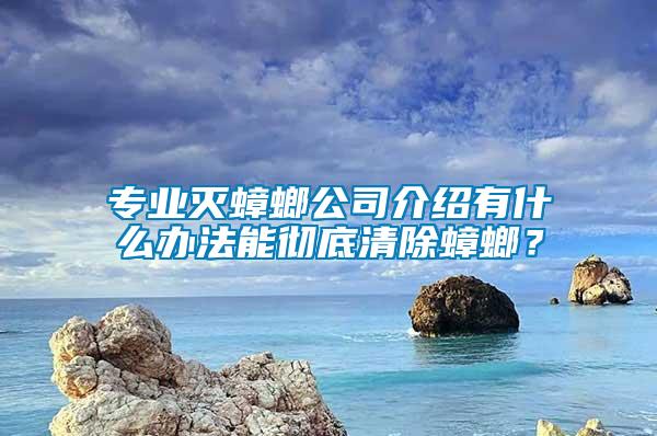 專業(yè)滅蟑螂公司介紹有什么辦法能徹底清除蟑螂？