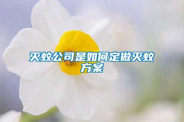 滅蚊公司是如何定做滅蚊方案