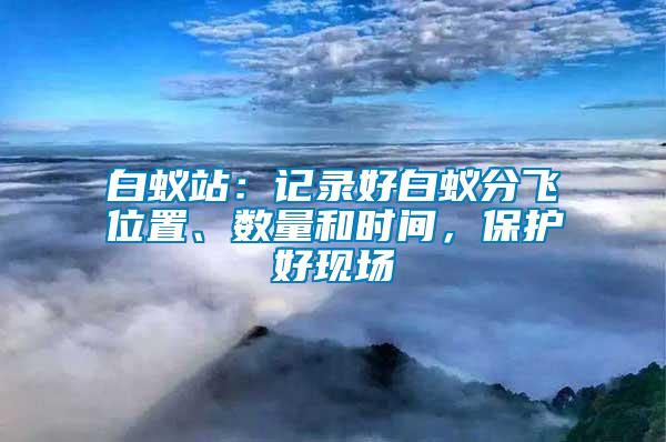 白蟻站：記錄好白蟻分飛位置、數(shù)量和時間，保護好現(xiàn)場