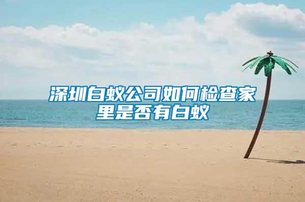 深圳白蟻公司如何檢查家里是否有白蟻