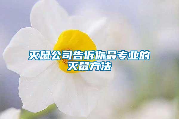 滅鼠公司告訴你最專業(yè)的滅鼠方法