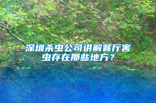 深圳殺蟲公司講解餐廳害蟲存在那些地方？