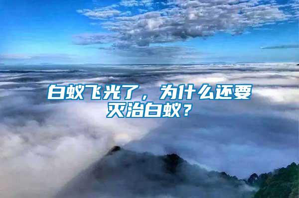 白蟻飛光了，為什么還要滅治白蟻？