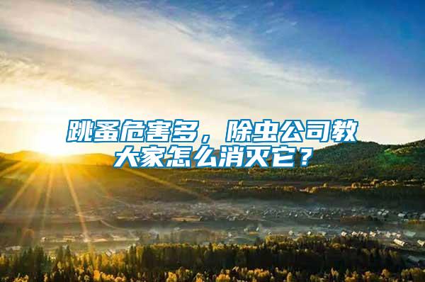 跳蚤危害多，除蟲公司教大家怎么消滅它？