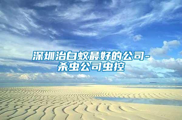 深圳治白蟻?zhàn)詈玫墓?殺蟲(chóng)公司蟲(chóng)控