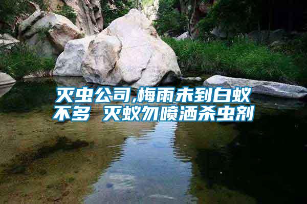 滅蟲公司,梅雨未到白蟻不多 滅蟻勿噴灑殺蟲劑