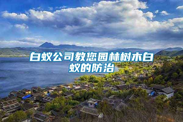 白蟻公司教您園林樹(shù)木白蟻的防治