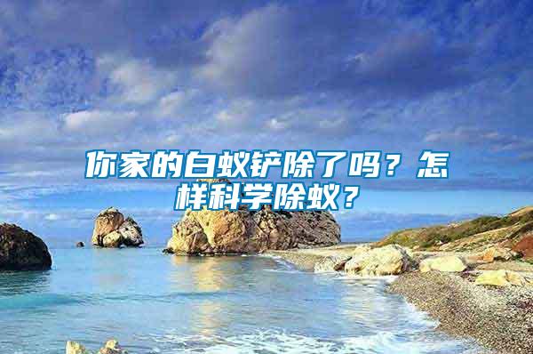 你家的白蟻鏟除了嗎？怎樣科學(xué)除蟻？