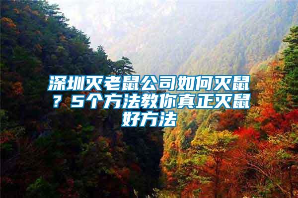 深圳滅老鼠公司如何滅鼠？5個(gè)方法教你真正滅鼠好方法