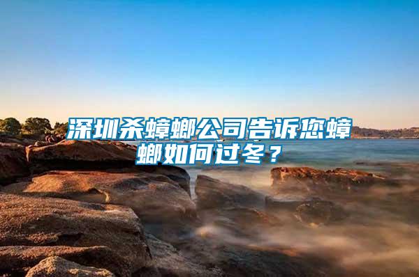 深圳殺蟑螂公司告訴您蟑螂如何過(guò)冬？