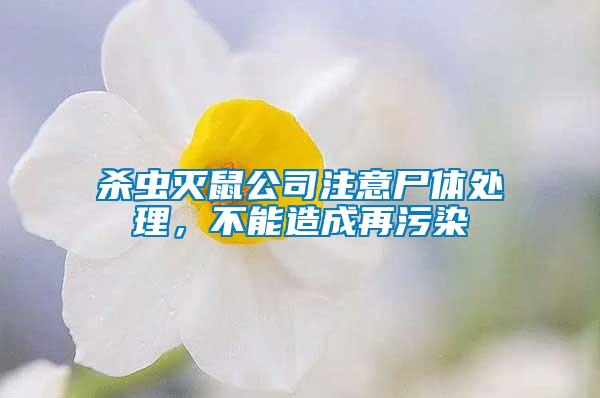 殺蟲滅鼠公司注意尸體處理，不能造成再污染