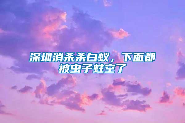 深圳消殺殺白蟻，下面都被蟲子蛀空了