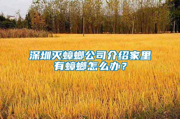 深圳滅蟑螂公司介紹家里有蟑螂怎么辦？