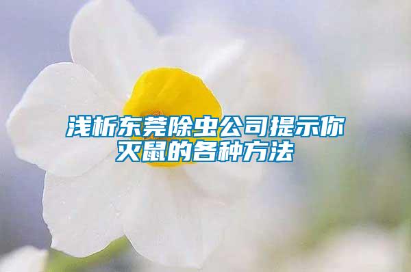 淺析東莞除蟲(chóng)公司提示你滅鼠的各種方法