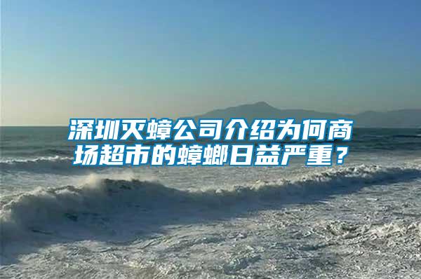 深圳滅蟑公司介紹為何商場超市的蟑螂日益嚴重？