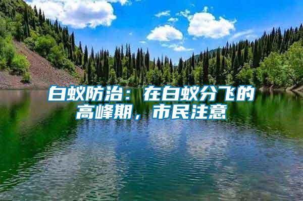 白蟻防治：在白蟻分飛的高峰期，市民注意