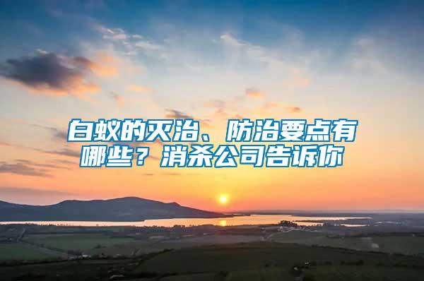 白蟻的滅治、防治要點(diǎn)有哪些？消殺公司告訴你