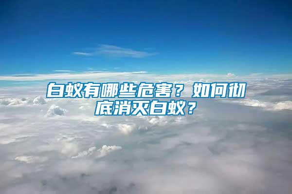 白蟻有哪些危害？如何徹底消滅白蟻？