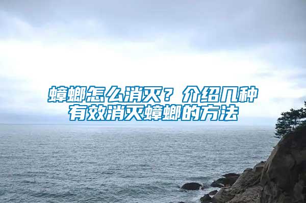 蟑螂怎么消滅？介紹幾種有效消滅蟑螂的方法