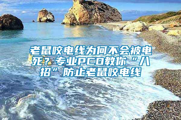 老鼠咬電線為何不會(huì)被電死？專業(yè)PCO教你“八招”防止老鼠咬電線