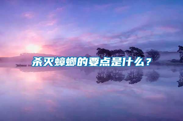 殺滅蟑螂的要點是什么？