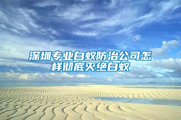 深圳專業(yè)白蟻防治公司怎樣徹底滅絕白蟻