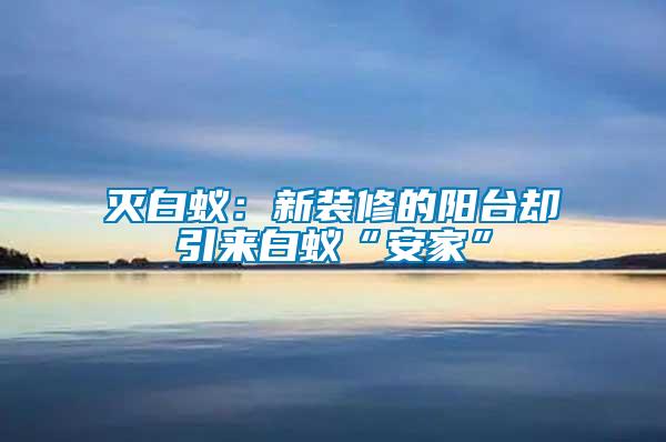 滅白蟻：新裝修的陽(yáng)臺(tái)卻引來(lái)白蟻“安家”