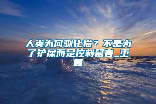 人類為何馴化貓？不是為了鏟屎而是控制鼠害_重復(fù)