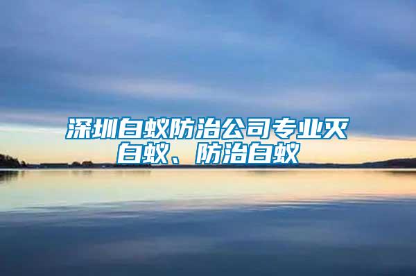 深圳白蟻防治公司專業(yè)滅白蟻、防治白蟻