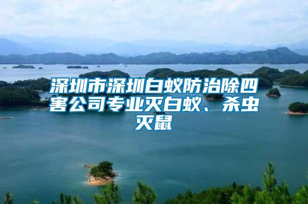 深圳市深圳白蟻防治除四害公司專業(yè)滅白蟻、殺蟲滅鼠