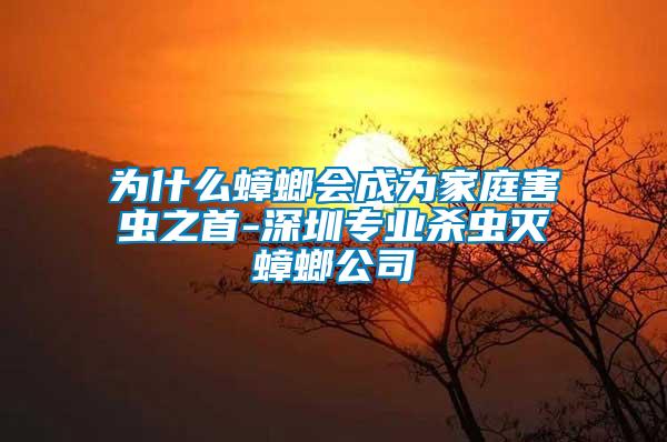 為什么蟑螂會成為家庭害蟲之首-深圳專業(yè)殺蟲滅蟑螂公司