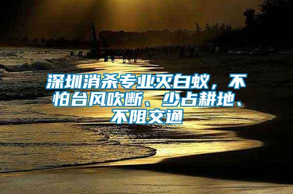 深圳消殺專業(yè)滅白蟻，不怕臺風吹斷、少占耕地、不阻交通