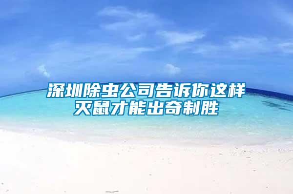 深圳除蟲公司告訴你這樣滅鼠才能出奇制勝