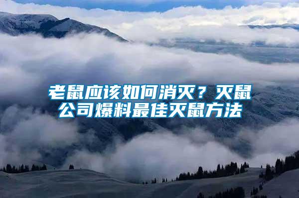 老鼠應該如何消滅？滅鼠公司爆料最佳滅鼠方法