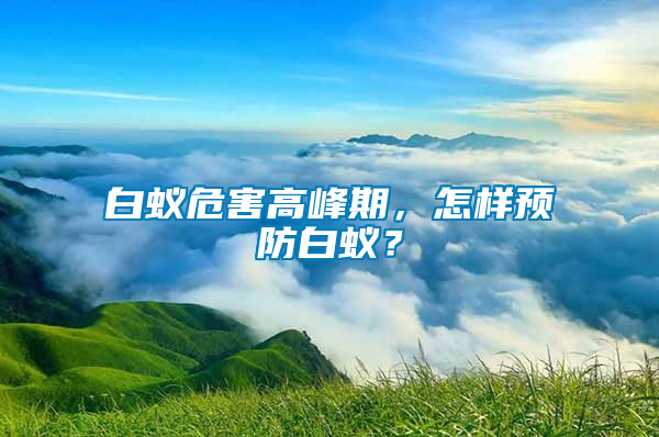 白蟻危害高峰期，怎樣預(yù)防白蟻？