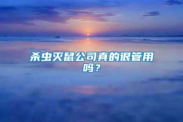 殺蟲滅鼠公司真的很管用嗎？