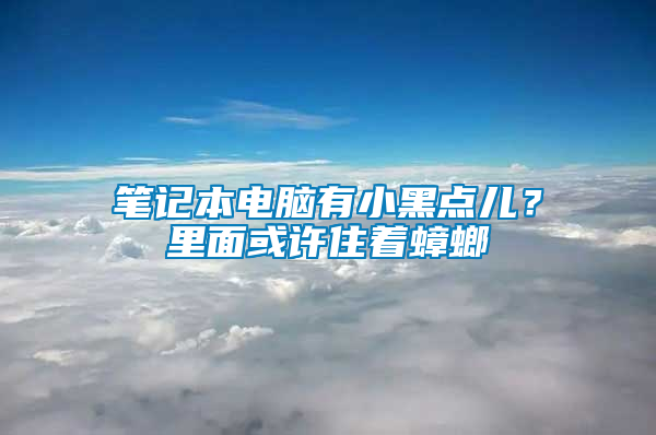 筆記本電腦有小黑點兒？里面或許住著蟑螂