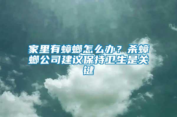 家里有蟑螂怎么辦？殺蟑螂公司建議保持衛(wèi)生是關鍵