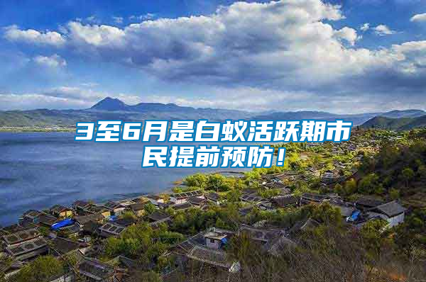 3至6月是白蟻活躍期市民提前預(yù)防！