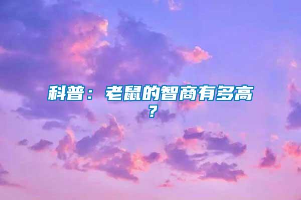 科普：老鼠的智商有多高？