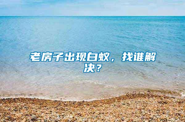 老房子出現(xiàn)白蟻，找誰(shuí)解決？